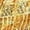 Gold, variant on Women Belly Dance Hip Skirt Tassel Scarf Sequin Wrap Rave Costume ,Red