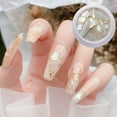 thumbnail image 3 of Happydeer 1 Box Nail Shells Irregular 3D Effect Flashing Crushed Stone Decorative Nail Art Decoration Phantom Color Natural Abalone Shell Pieces Nail Art Flakes for Salon, 3 of 13