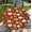 F-pumpkin, variant on Round Table Cover Spring Washable Seasonal Table Cloth for Party Picnic Dinner Decor for 38"-42" Round Table, 44 Inch