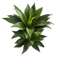 thumbnail image 4 of Nearly Natural 29" Double Agave Succulent Artificial Plant, Green, 4 of 4