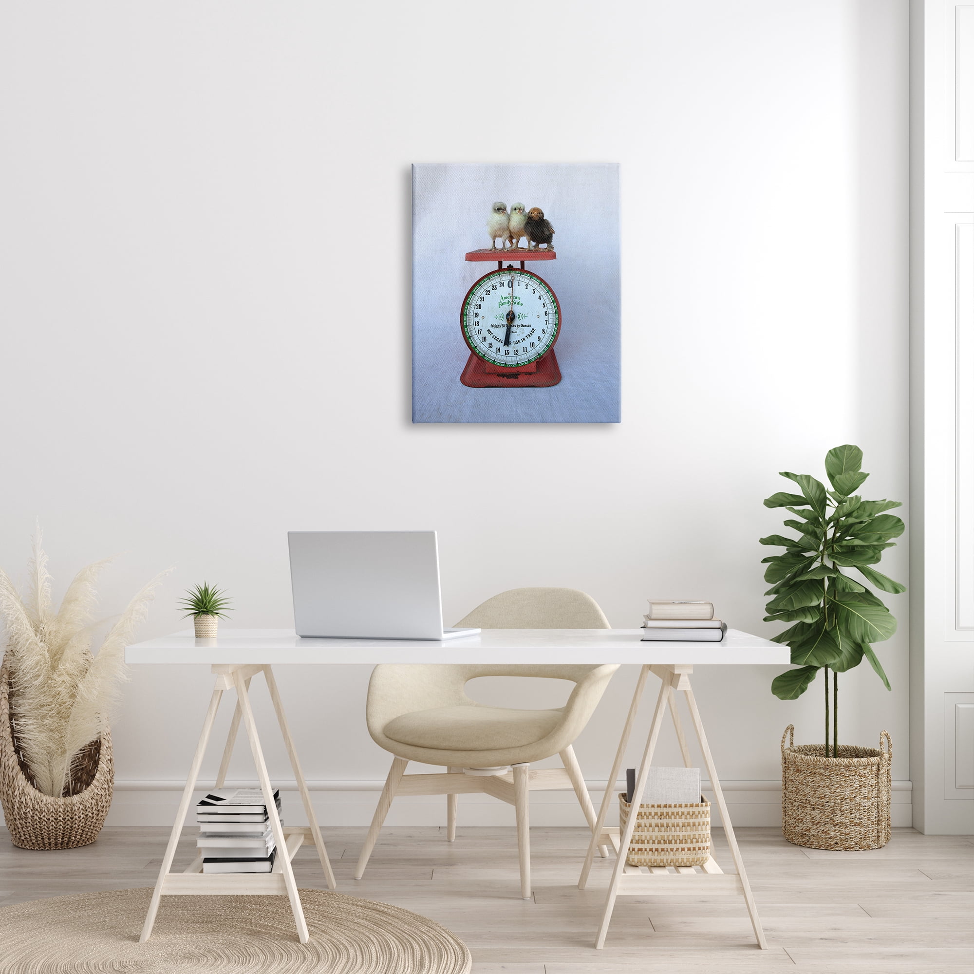 Stupell Industries Country Baby Chick Birds on Vintage Kitchen Scale Photograph Gallery Wrapped Canvas Print Wall Art, Design by Tania Soderman