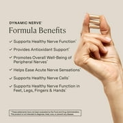 Stonehenge Health Dynamic Nerve Supplement, Supports Function in Fingers, Toes, Hands, Feet, Alpha Lipoic Acid ALA, Benfotiamine, PEA, Boswellia