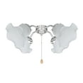 thumbnail image 3 of Aspen Creative 23097-4 Transitional Style Replacement Floral Shaped Frosted Glass Shade, 2" Fitter Size, 4 1/8" high x 4 3/4" diameter, 4 Pack, 3 of 6