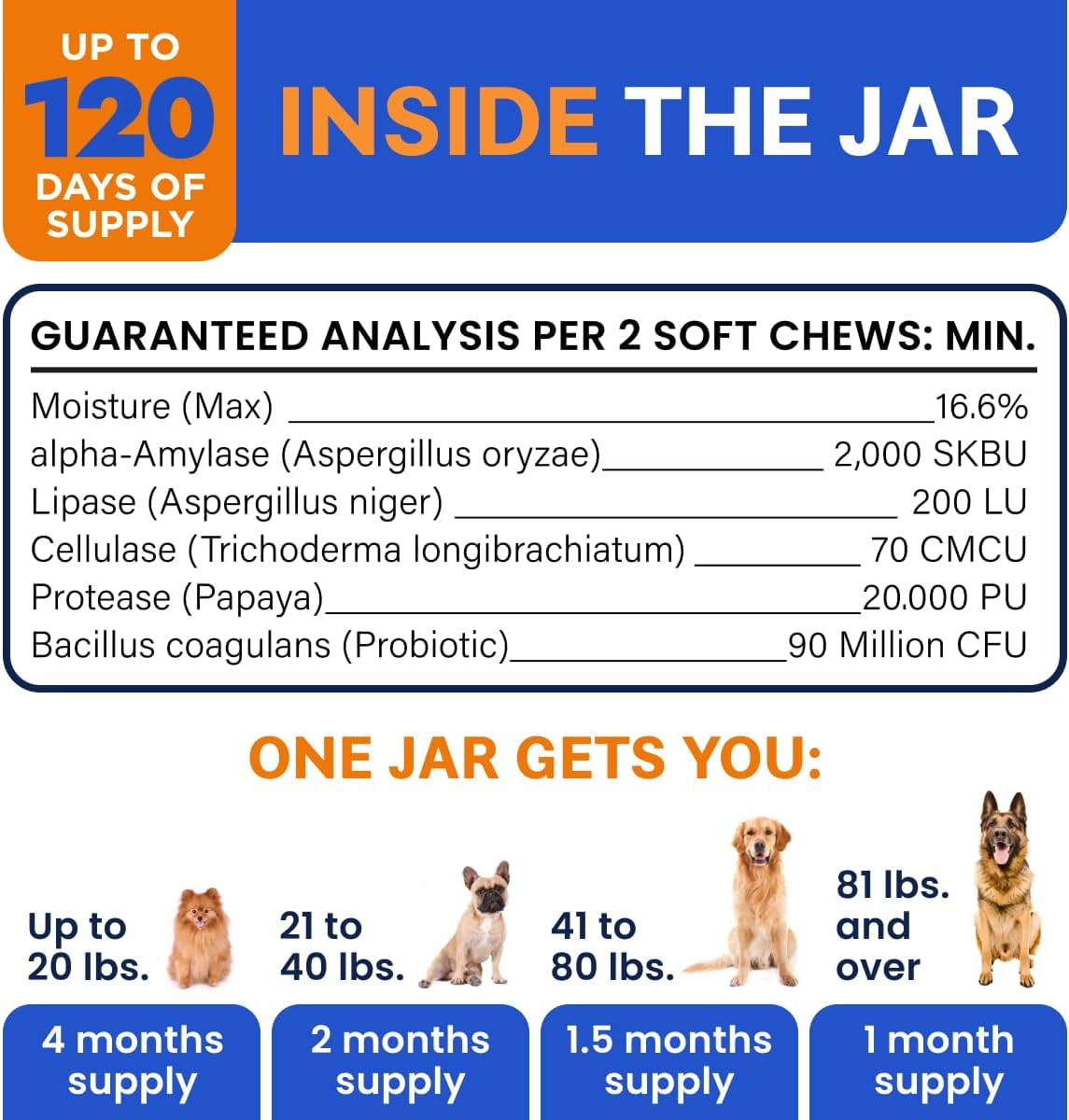 Bark&Spark Probiotic Chews for Dogs - Digestive Enzymes, Diarrhea & Upset Stomach Relief - Gut Health, Itchy Skin, Prebiotic, Bacon (120 ct)