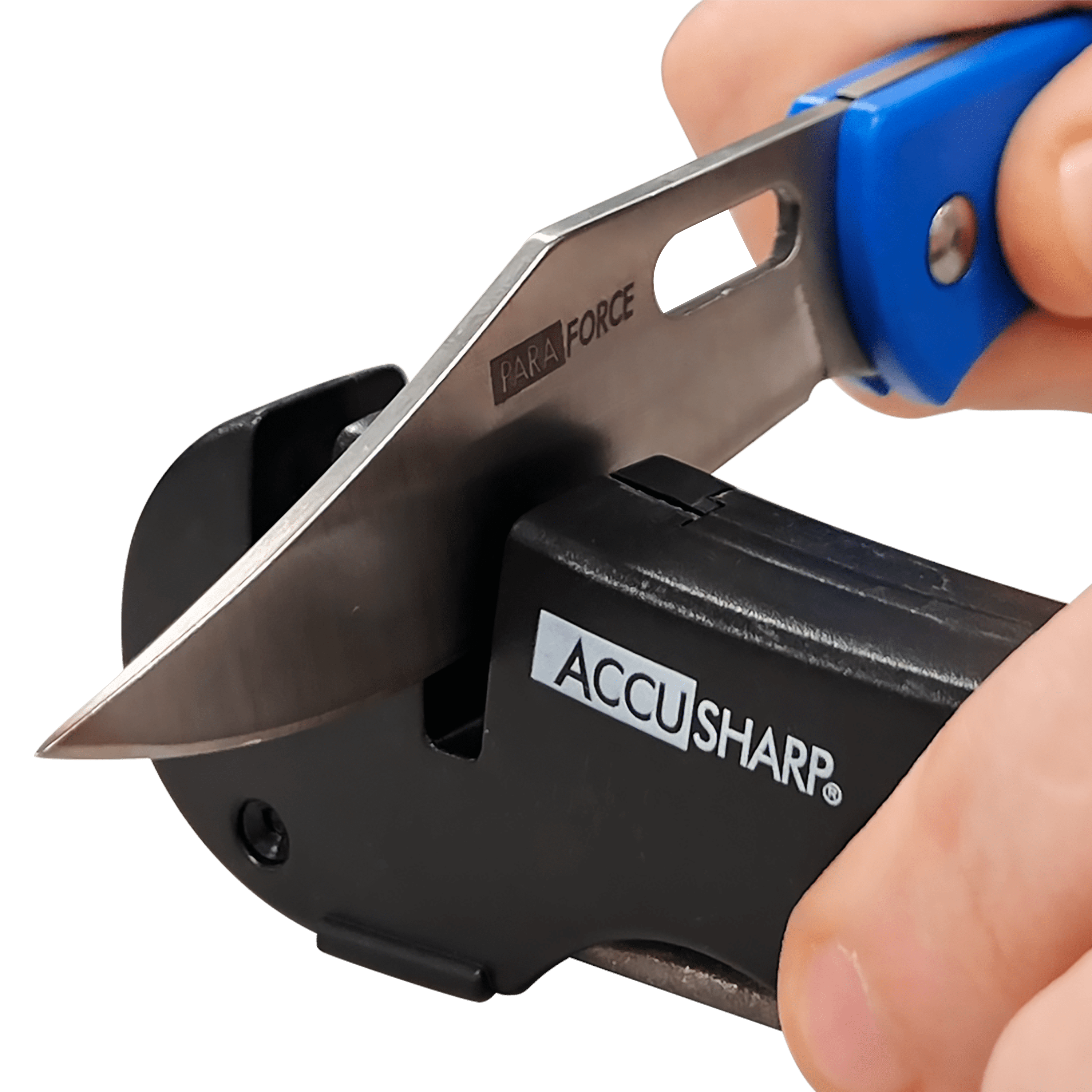 Accusharp 029C 4-In-1 Knife & Tool Sharpener - Quantity 1