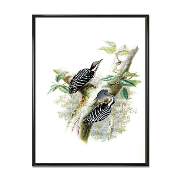 Designart 'Ancient Birds In The Wild V' Traditional Framed Canvas Wall Art Print