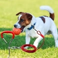 thumbnail image 1 of Heavy Duty Metal Ground Stake and Tether Kit for Secure Outdoor Dog Training and Exercise, 1 of 5