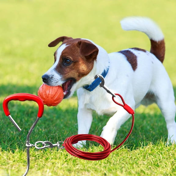 Pet Supplies Dog Tie Out Stake Kit Heavy Duty Metal Ground for Outdoor Training and Secure Pet 19  Inch Stake System