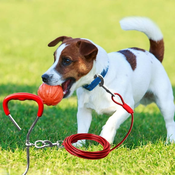 Fournitures pour Animaux, Trousse de Piquet à Attacher pour Chien, Piquet de Sol en Métal Robuste pour l'Entraînement Extérieur et la Sécurité des Animaux – Idéal pour les Petits à Moyens Chiens