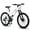 White, variant on Mountain Bike for Men, 24 inch Mountain Bike with Disc Brakes & 21 Speed, Gray