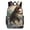 HuWng-2, variant on Dinosaur Surfing Epic Wave Ride Teenage Backpack Middle Students Bookbag Outdoor Daypack