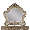 thumbnail image 1 of ACME Furniture 26314 Ragenardus Mirror, Vintage Oak, 1 of 3