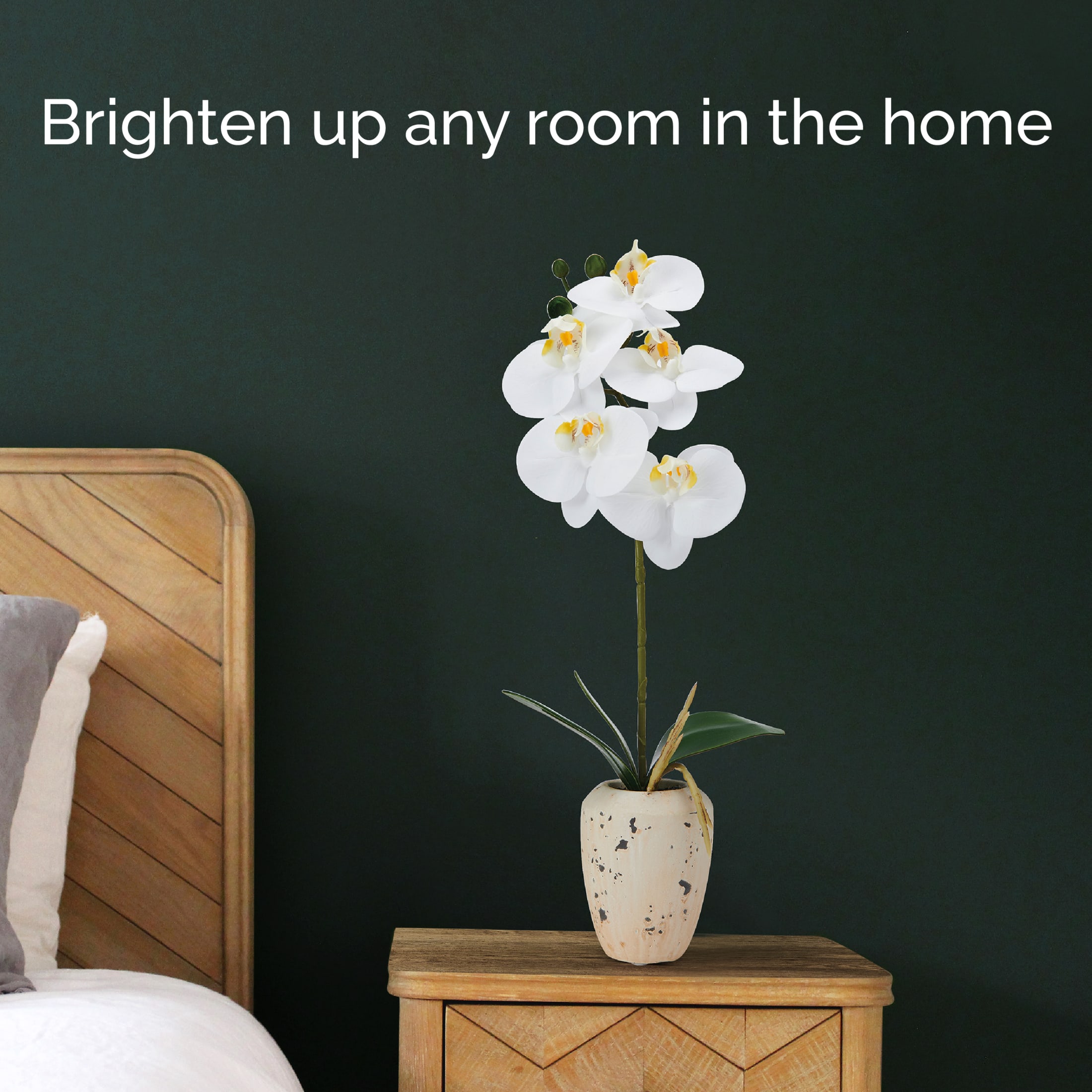 Home Accents 16-inch Artificial Real Touch Phalaenopsis Orchid in Faux Aged Cement Pot, White/Yellow