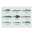 thumbnail image 1 of Fish Cutting Board, Group of Animals Perch Tuna Pike Flounder Mackerel Trout Aquatic Life Art Print, Decorative Tempered Glass Cutting and Serving Board, Large Size, Multicolor, by Ambesonne, 1 of 1