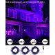 thumbnail image 4 of Cadena de luces BrizLabs, color morado para Halloween, 78,74 pies, 240 LED, 4 of 7