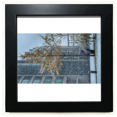 thumbnail image 1 of Snowscene City Photography Black Square Frame Picture Wall Tabletop, 1 of 3
