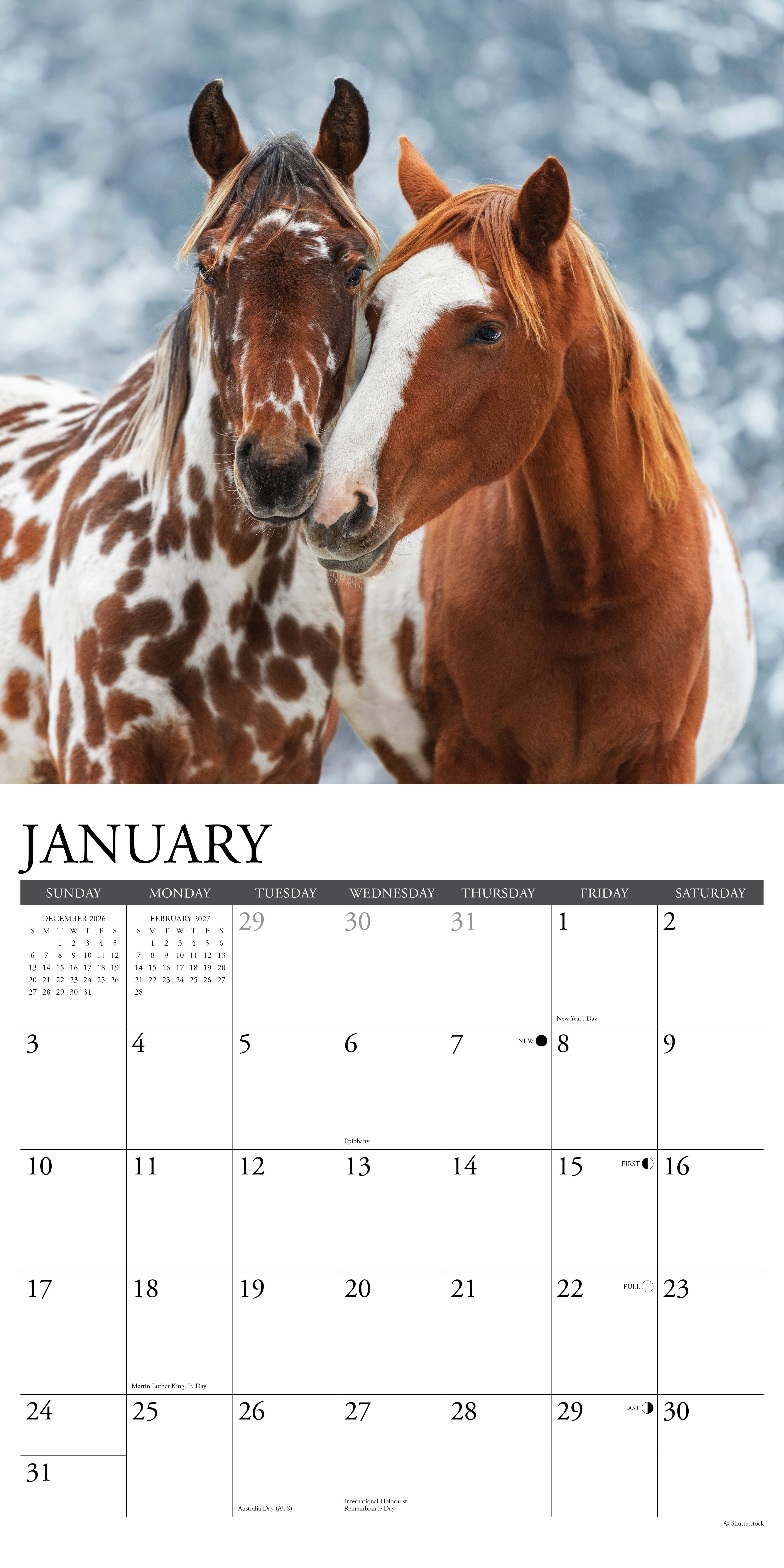 Willow Creek Press, Paint Horses 2027 Wall Calendar