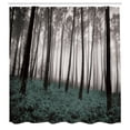 thumbnail image 2 of Ambesonne Shower Curtain, , 69"Wx70"L, Peacock Black, 2 of 4