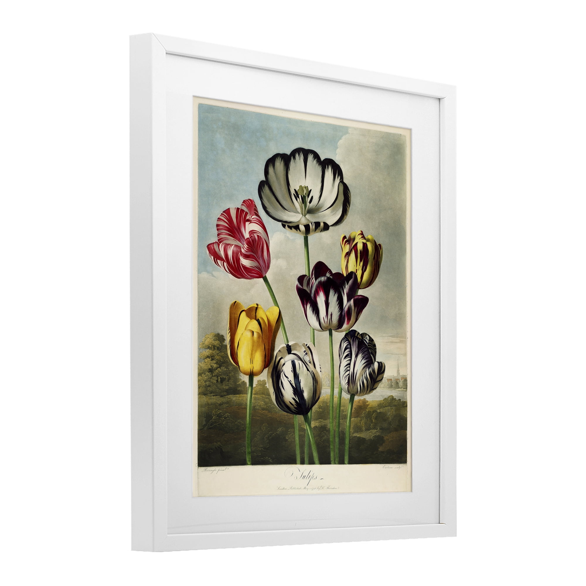 Stupell Industries Tulips From The Temple White Framed Print Under Glass, design by Print Collection