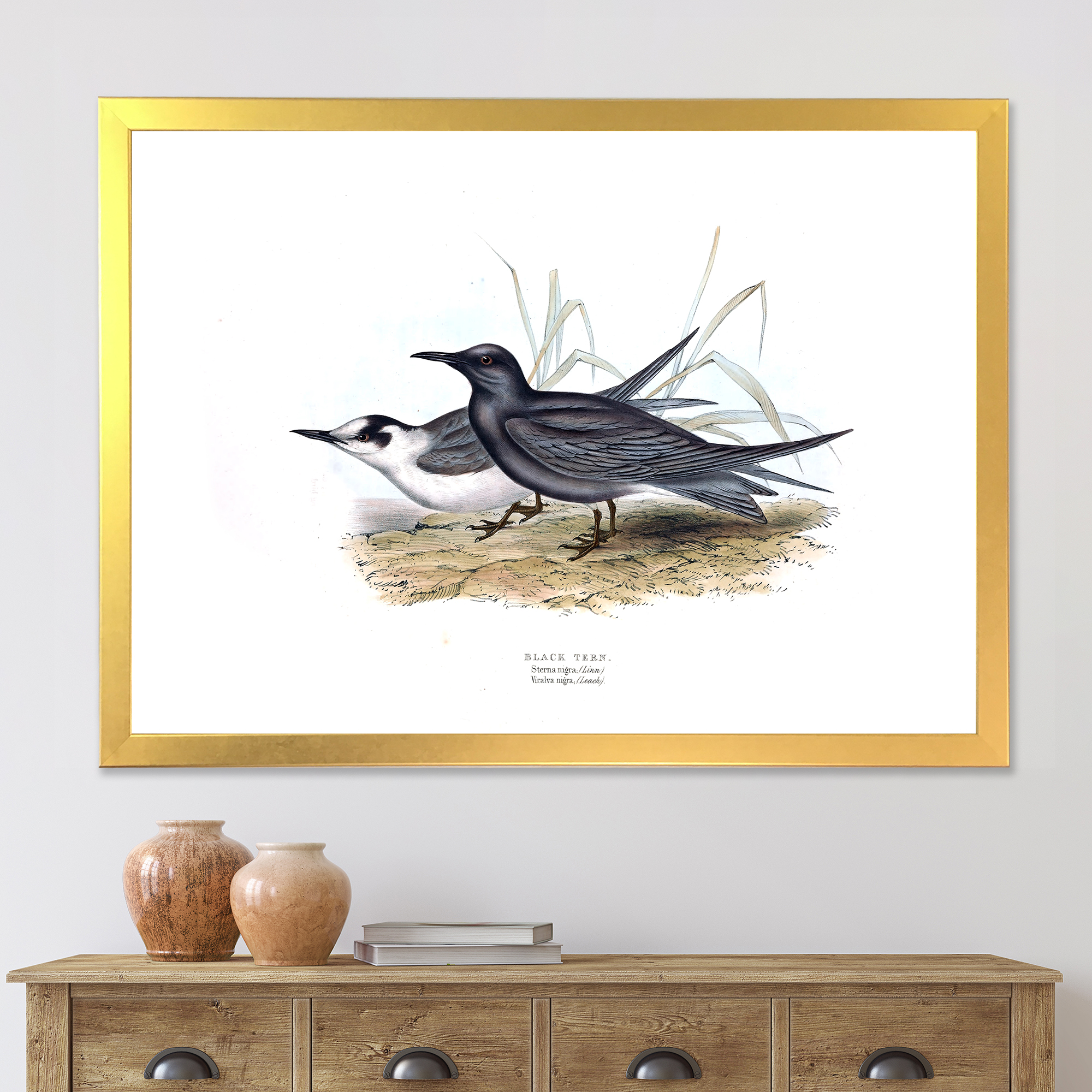 Designart 'Ancient Bird Of Europe II' Traditional Framed Art Print