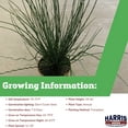 thumbnail image 3 of Juncus Seeds - Twisted Arrows Multi-Pelleted Variety Juncus Seeds - Non-GMO - 50 Seeds, 3 of 5