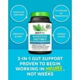 Zenwise Digestive Enzymes with Probiotics and Prebiotics Supplement