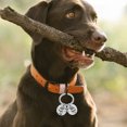 thumbnail image 4 of unbranded Para Collar De Perro Y En Metal Y Durable Color Plateado, 4 of 8