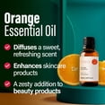 thumbnail image 4 of H’ana Orange Essential Oil - 100% Pure and Natural Essential Oils for Skin, Diffuser, and Aromatherapy - With a Sweet, Orange Scent (1 Fl Oz), 4 of 6