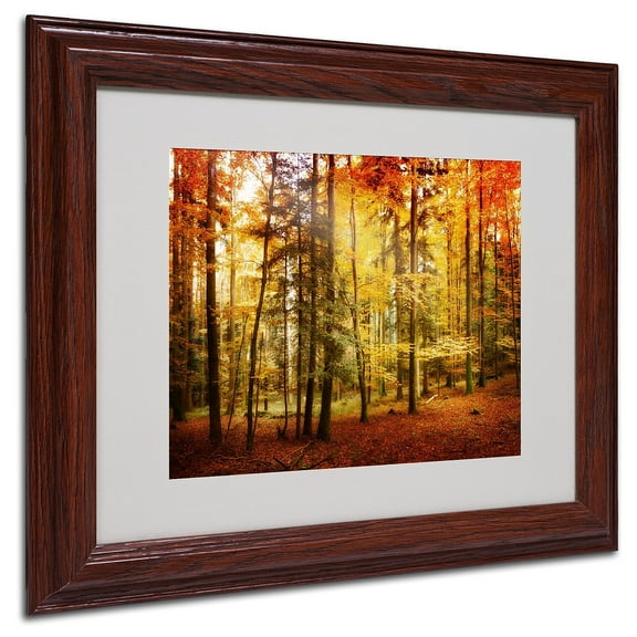 Trademark Fine Art "Fall Color" Canvas Art by Philippe Sainte-Laudy, Wood Frame