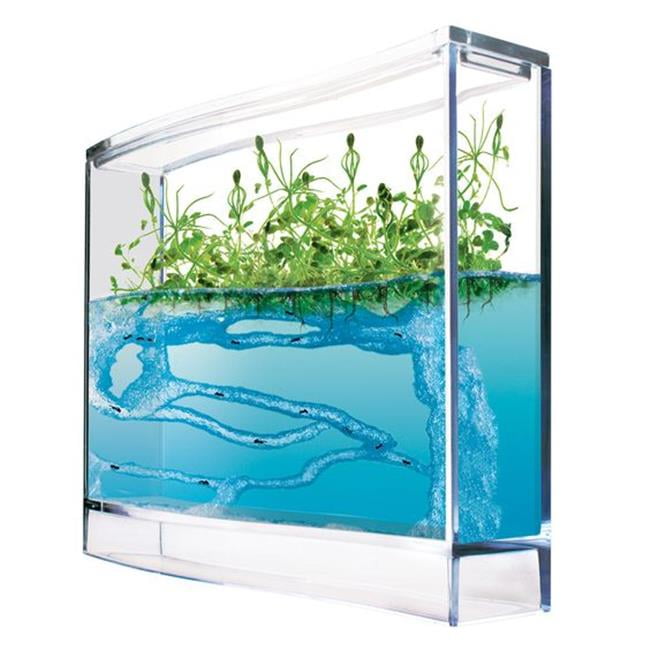 Antquarium 81006 Taos Super Plantarium Forest