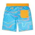thumbnail image 2 of Speedo Boy's UV Protection Swim Trunk Redondo Printed 17" Boardshort - Tide Tracker Arctic Glass, Size L, 2 of 2