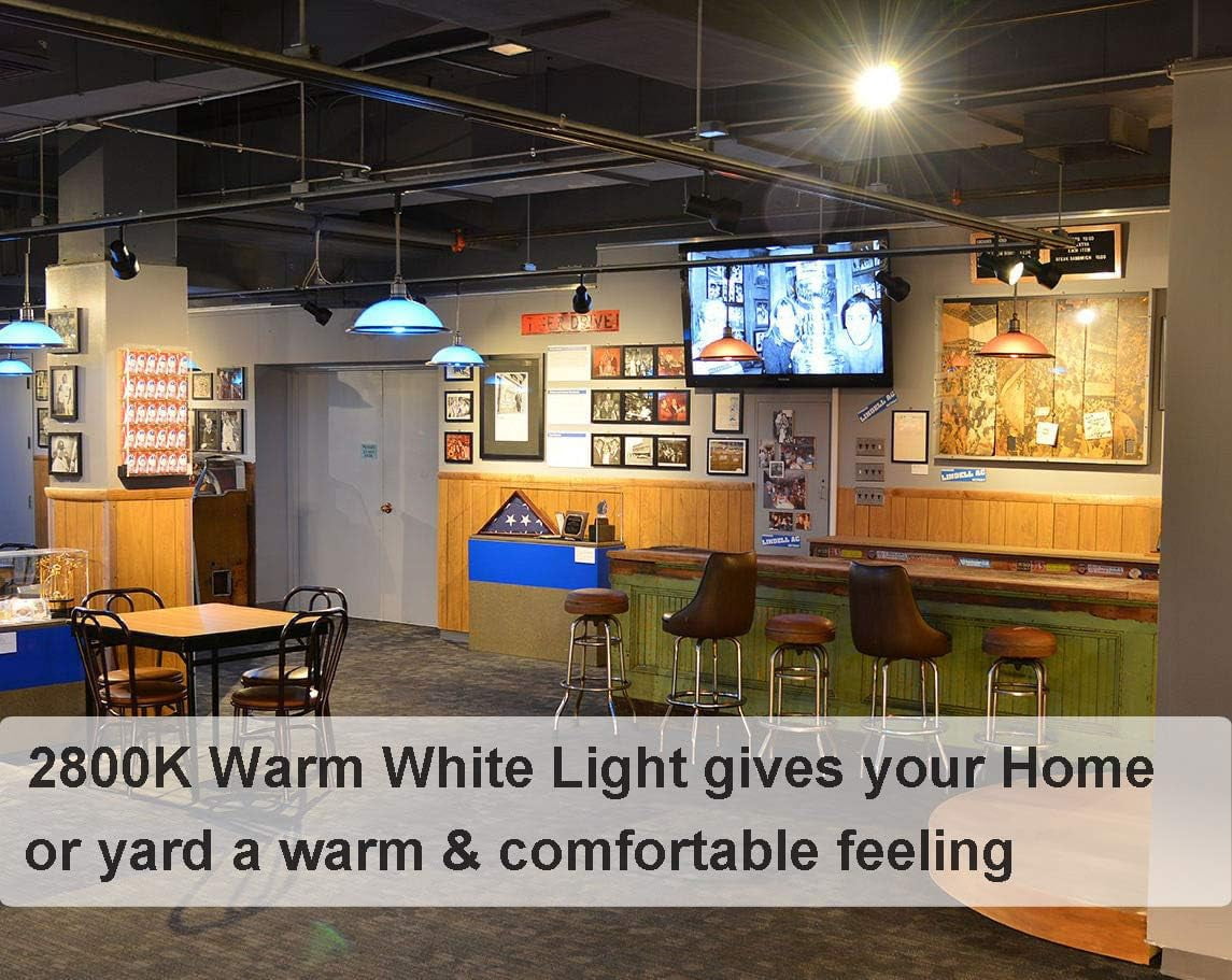 4PCS Par38 Halogen 80W 120V Dimmable, Long Lifespan E26 Par38 Light Bulb with 2800K Warm White for Indoor/Outdoor