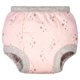 thumbnail image 4 of BIG ELEPHANT Pantalones de Entrenamiento para Niñas Pequeñas, Ropa Interior de Entrenamiento para Niñas Pequeñas, Paquete de 10, Talla 5T, 4 of 9