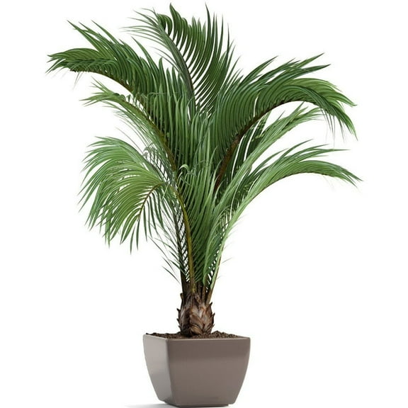 Hsqqdc Simulation 3D Green Plant Wall Sticker, Potted Vase Flower Decal for Living Room Bedroom Office Decoration