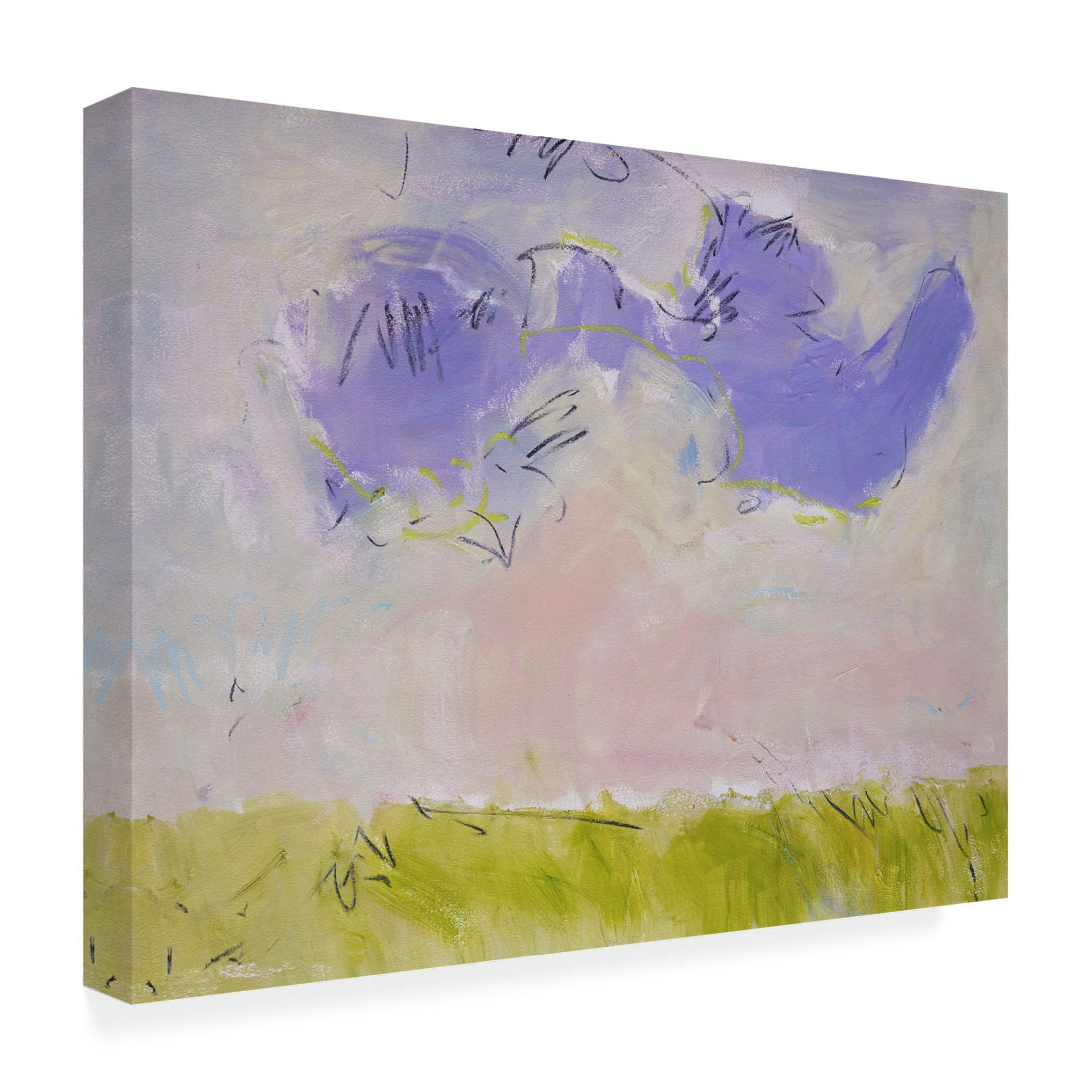 Trademark Fine Art Dorothy Fagan  Heaven and Earth IV Canvas Wall Art