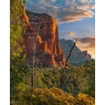 thumbnail image 2 of Fitzharris, Tim 12x14 Black Ornate Wood Framed with Double Matting Museum Art Print Titled - Coconino National Forest near Sedona-Arizona-USA, 2 of 4