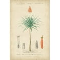 thumbnail image 2 of Vision Studio 13x18 Black Ornate Wood Framed with Double Matting Museum Art Print Titled - Tropical Botanique II, 2 of 4