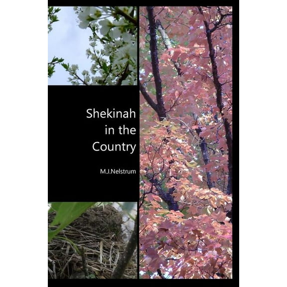 Shekinah in the Country (Paperback)