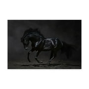 Trademark Fine Art 'Onyx Horse' Canvas Art by PhotoINC Studio