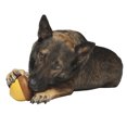 thumbnail image 2 of BarkBites Acorn Plush Dog Toy, 2 of 2