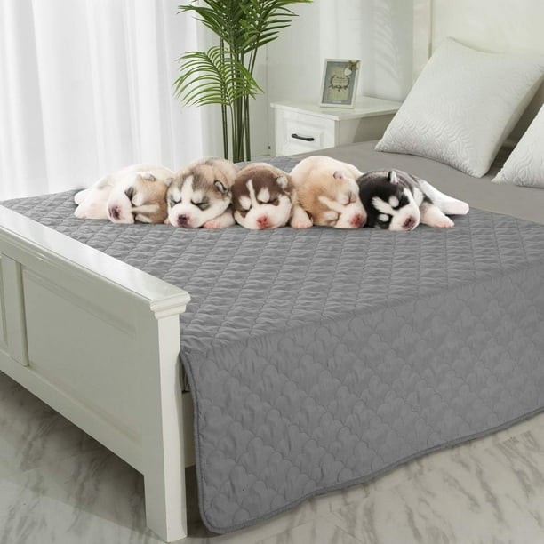 Dog Blankets for Couch Protection Waterproof Dog Bed Covers Pet Blanket Furniture Protector Grey Dark Grey 52 x82 Walmart