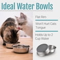 thumbnail image 2 of OFEFE 2-Pack Non-Slip Stainless Steel Dog & Cat Bowls - 2 Cup Capacity Pet Food & Water Bowls with Silicone Base for Small Pets Under 20lbs (5.5" Diameter, Metal & Silicone), 2 of 6