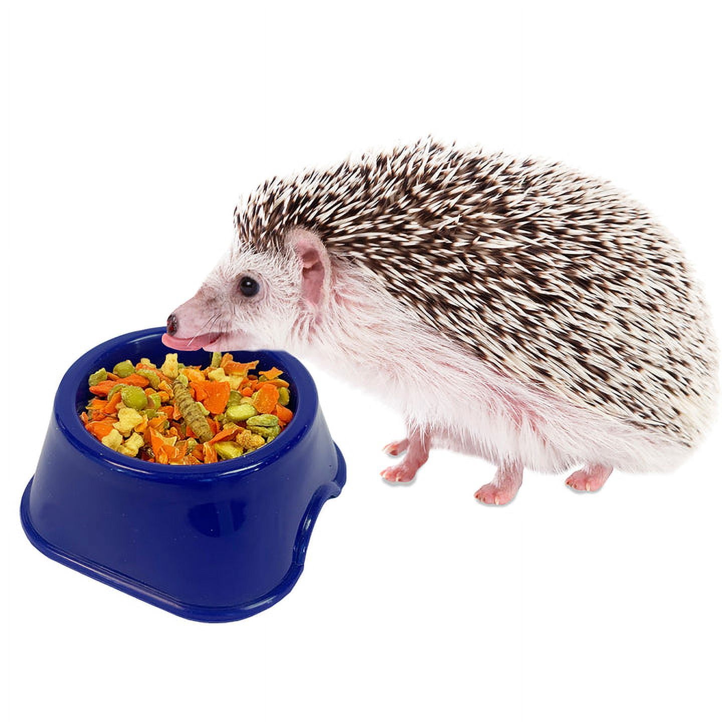 Starter Package for Hedgehogs - Includes Exercise Wheel, Healthy Food, Natural Treat, Multi-Vitamin & Hideout