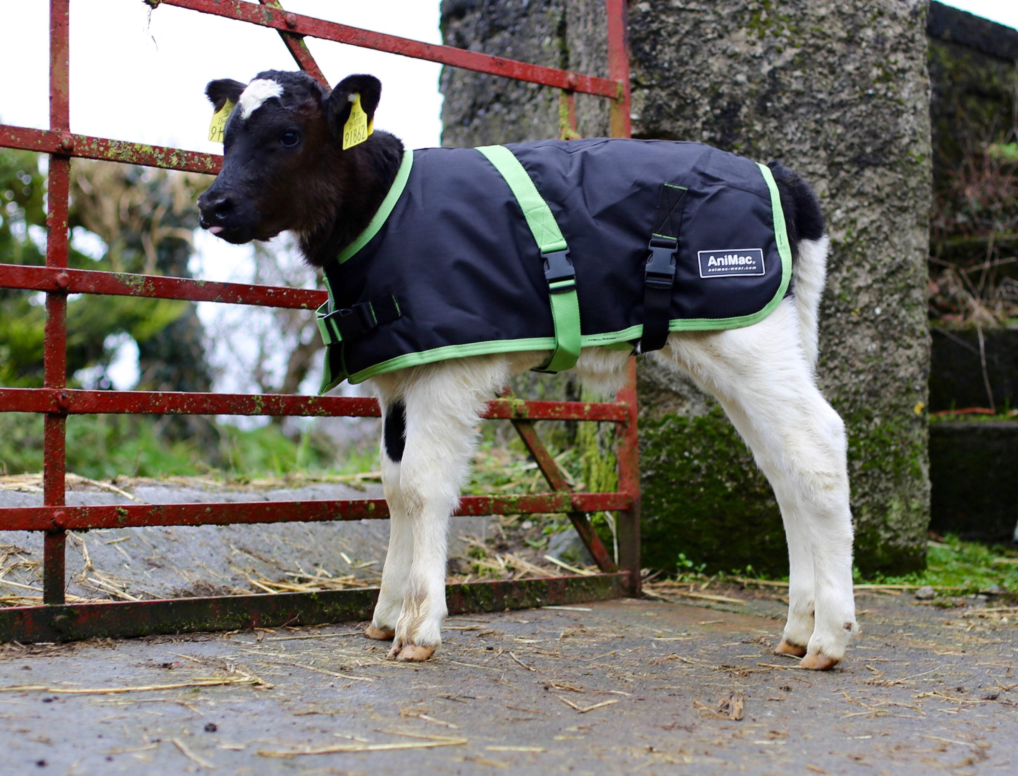 AniMac Super Calf Jacket Small 22