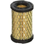 Tecumseh 35066 Air Filter (Limited Edition)