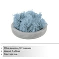thumbnail image 3 of Uxcell 3.5 OZ Fake Moss Preserved Reindeer Moss Artificial Moss Lichen Centerpieces Decor Faux Moss Light Blue, 3 of 6