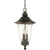 Nuvo Lighting 60981 Three Light Hanging Lantern