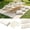 White, variant on Extra Large Outdoor Boho Picnic Blanket 91'' x 71'' White Table Runner 6 Throw Pillow Cover Woven Cotton Yarn Oversize Beach Blanket Washable for Picnic Camp Wedding
