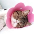 thumbnail image 4 of Laegsmetg Cat Recovery Collars, Adjustable Cat Cone Collars for Kittens, Sunflower Neck Cat Cone Recovery Collars for Pets Kittens Cats Puppies Rabbits to Prevent Bites, 4 of 5
