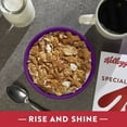 thumbnail image 3 of Kellogg's Special K Fruit and Yogurt Cold Breakfast Cereal (Pack of 2), 3 of 9
